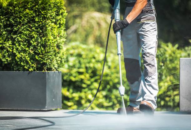 Best Rust Removal  in Zolfo Springs, FL