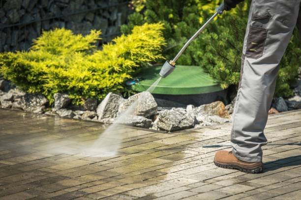 Best Pre-Holiday Cleaning  in Zolfo Springs, FL