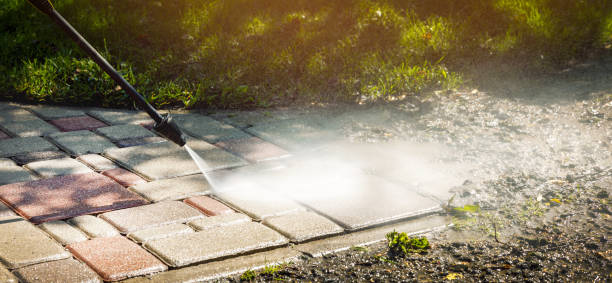 Best Pool Deck Cleaning  in Zolfo Springs, FL